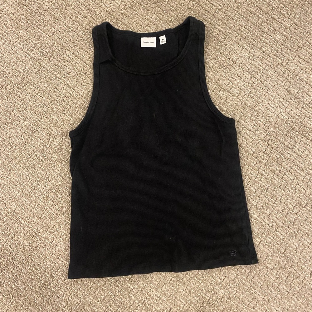 Aritzia Sunday best honour tank